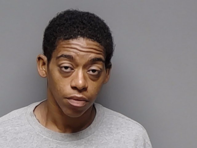 Booking photo of Danisha Renee Logan