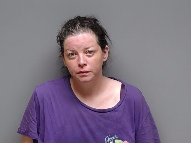 Booking photo of Melissa Mercedes Grey