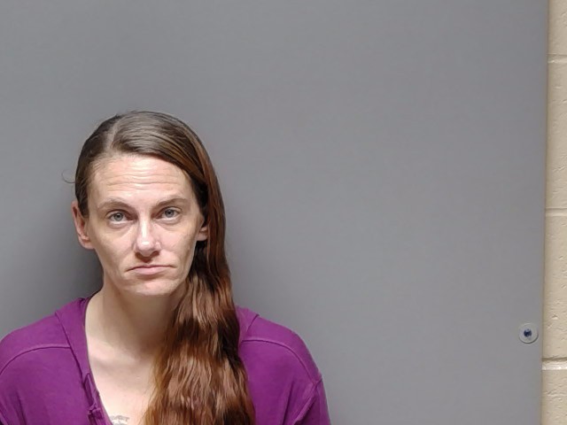 Booking photo of Megan Nicole Feldman