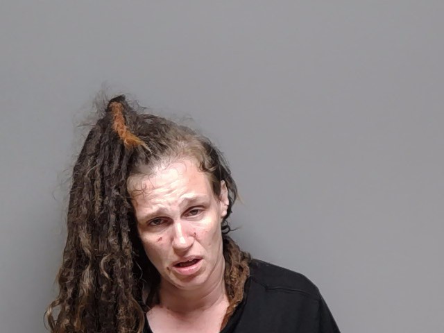 Booking photo of Alishia Renee Perry