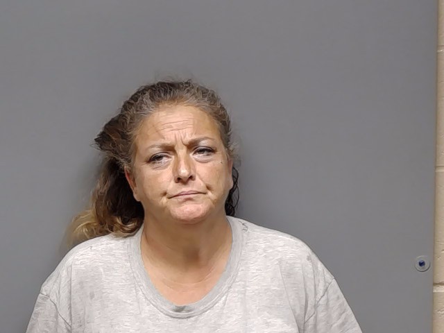 Booking photo of Crystal Lynn Wells