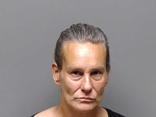 Booking photo of Susan Marie Milhausen