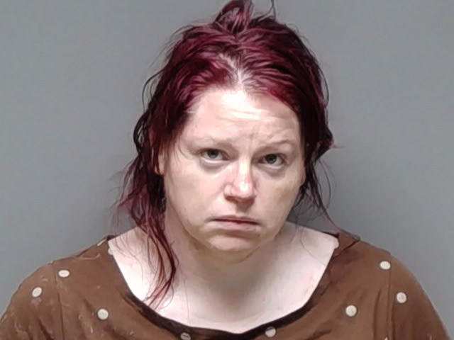 Booking photo of Shauna Fischer
