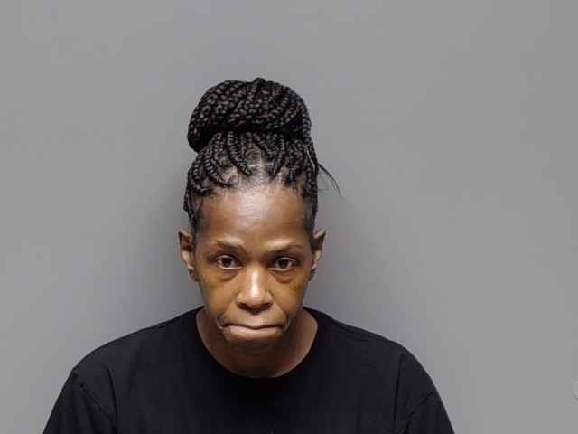 Tamara Lynnette Malloy booking photo