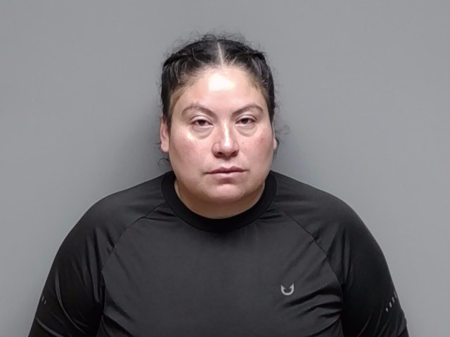 Booking photo of Sebastiana Ricardez Gomez