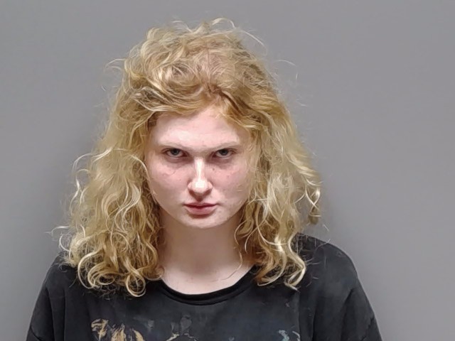 Booking photo of Jane Cunningham