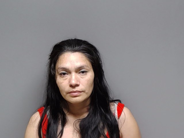 Booking photo of Heydi Nunez Dubon