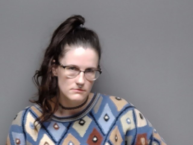 Booking photo of Allison Nicole Everson