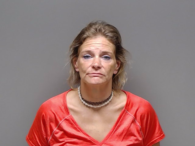 Booking photo of Allison Francis Fitchett