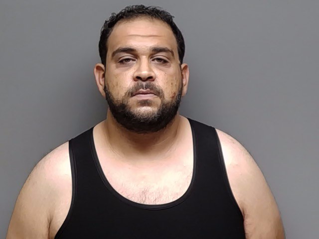 Booking photo of Baleegh Hamdy Aly