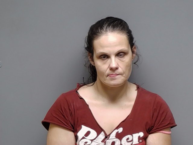 Booking photo of Tammy Perkins