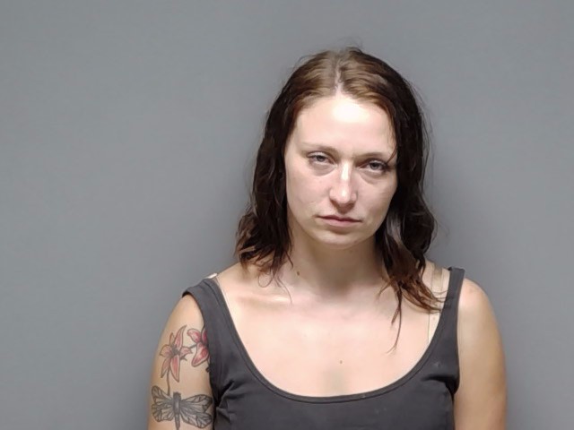 Booking photo of Lily Overbey