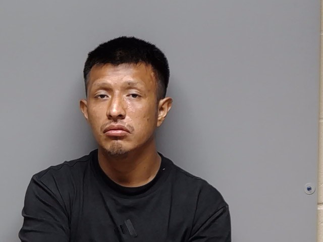 Booking photo of Luis Tista