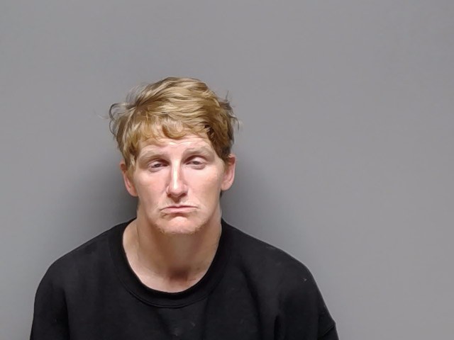 Booking photo of Anna Lisa Reidy
