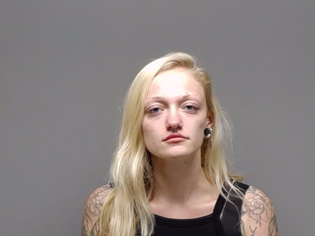 Booking photo of Haley Rheanne Painter