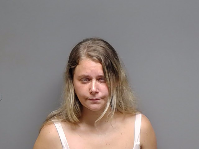 Booking photo of Ellie Rachel Maistelman