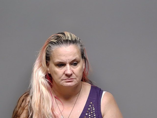 Booking photo of Lisa Lucille Russell