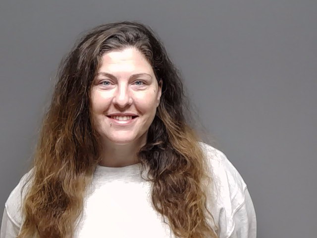 Booking photo of Brittany Michelle Landes