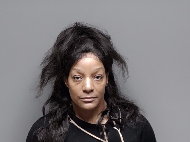 Booking photo of Brandy Renee Mcmillan