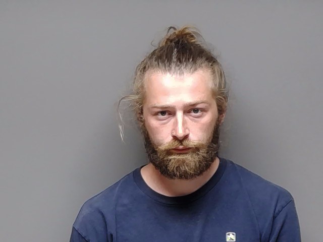 Booking photo of Shane Alexander Perkins