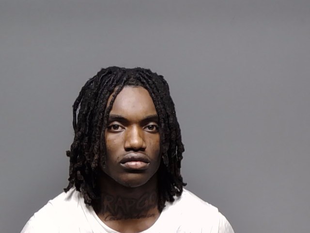 Booking photo of Levi Robinson