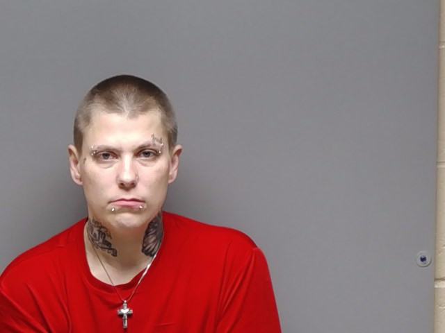 Booking photo of Brandy Lynn Clark