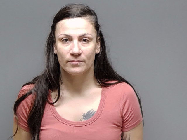 Booking photo of Dijana Vuckovic