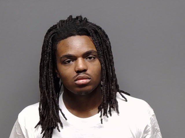 Booking photo of Dominique Zahier Wood