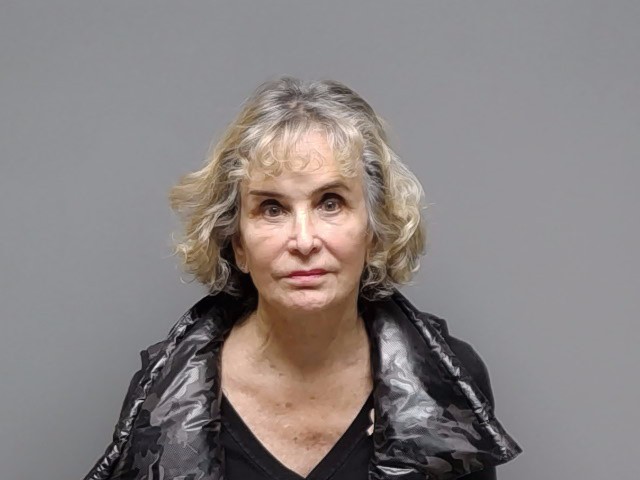 Sydney Ann Fleischer booking photo