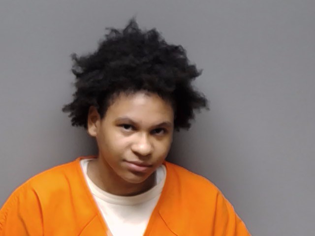 Booking photo of Jamya Shanae Williams