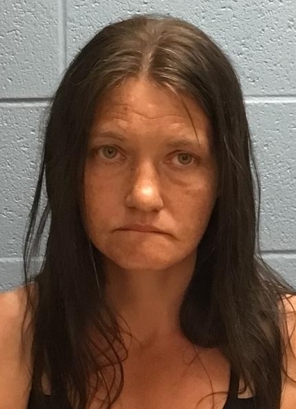 Booking photo of Melinda June Turner