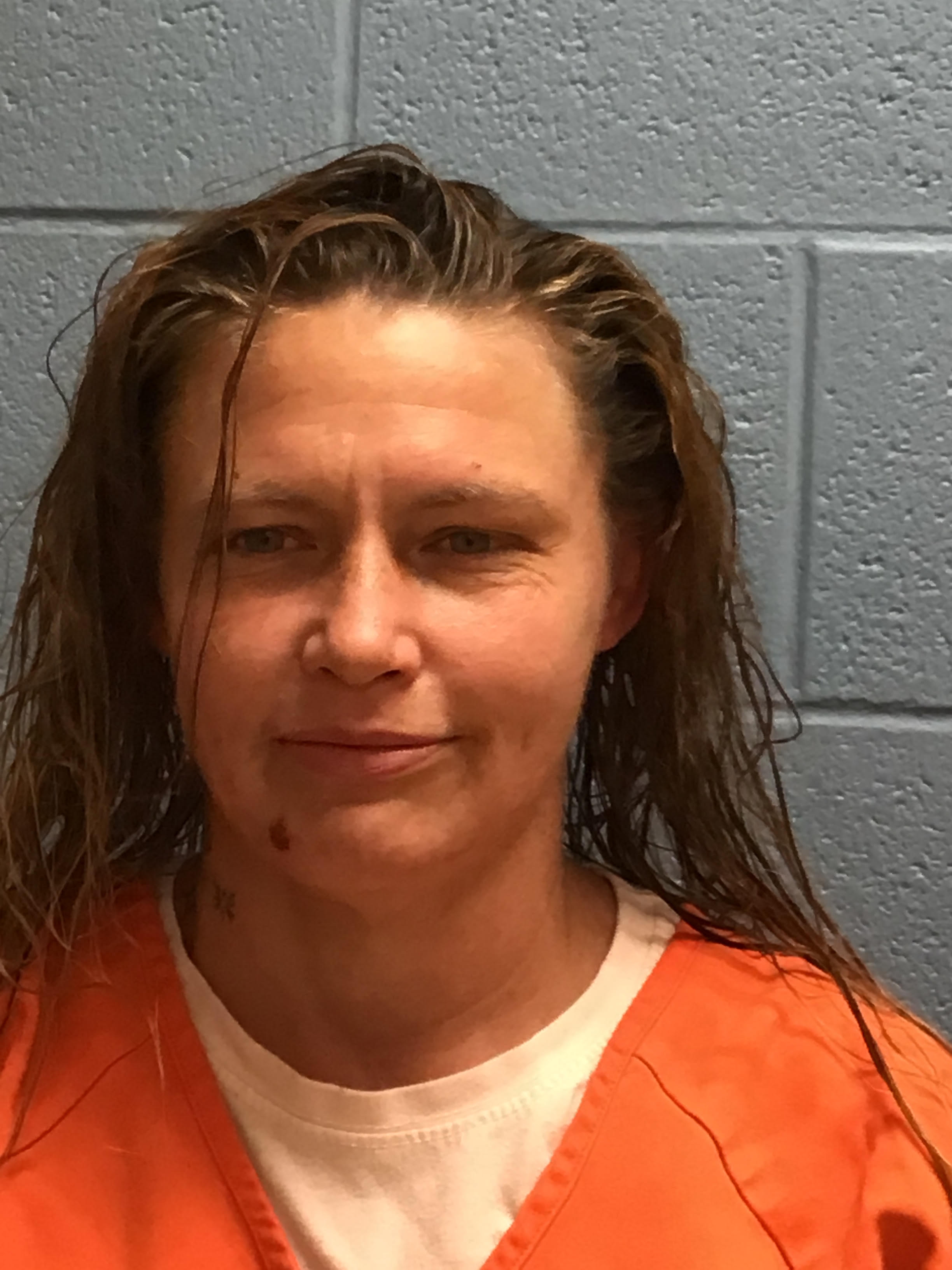 Booking photo of Holly Ann Boyer