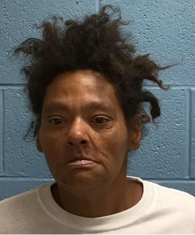Booking photo of Angel Marie Timblin