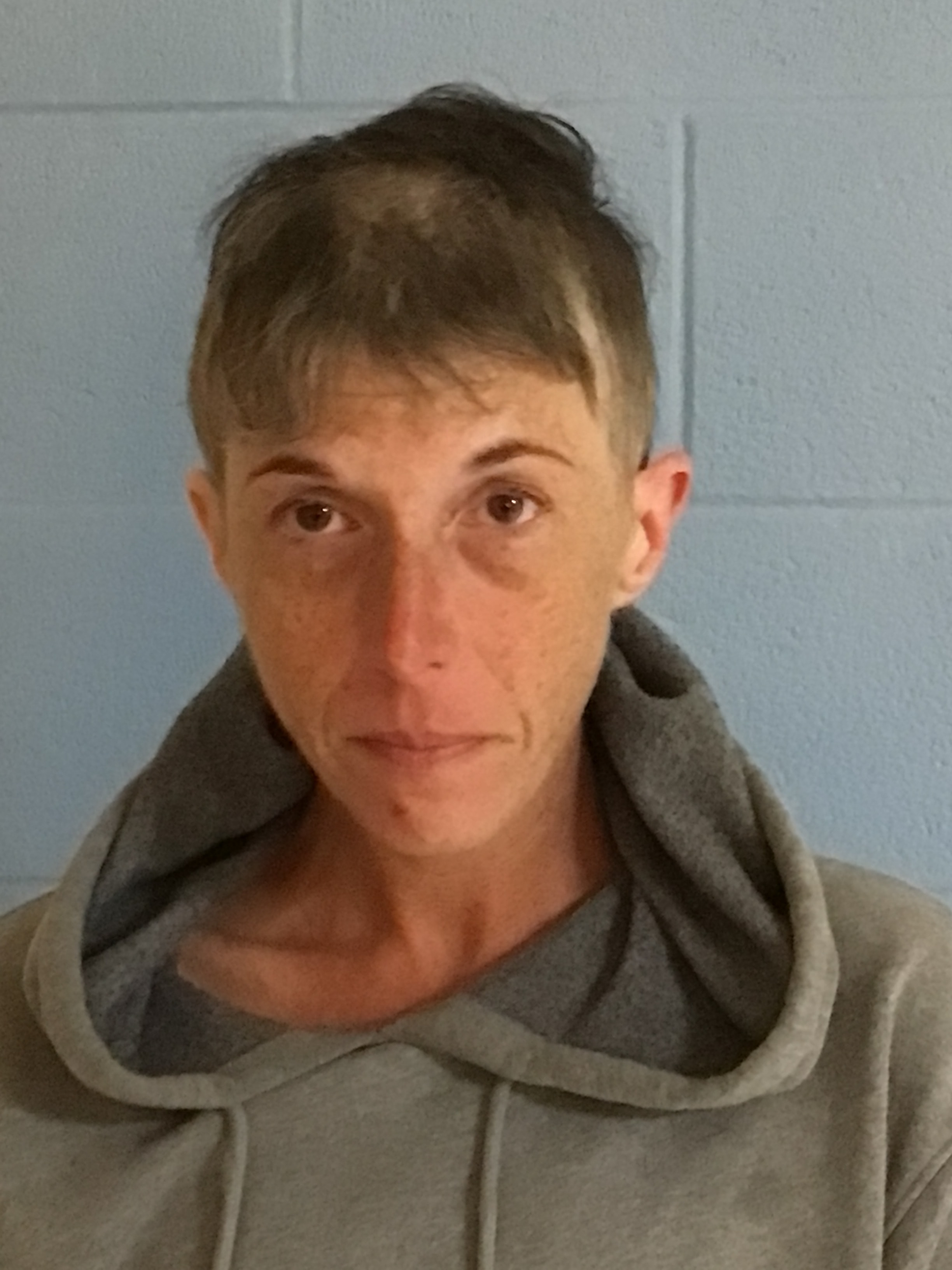 Booking photo of Amanda Jo Loeffler