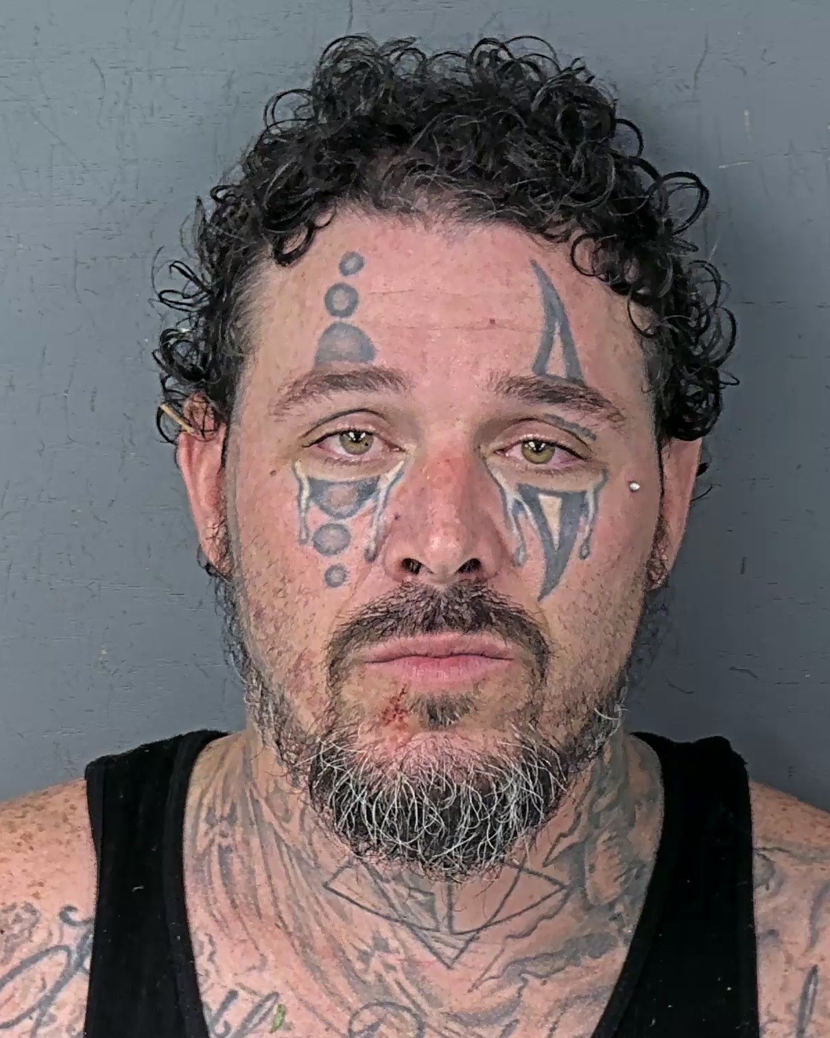 Booking photo of Richard Dean Jr Stephenson