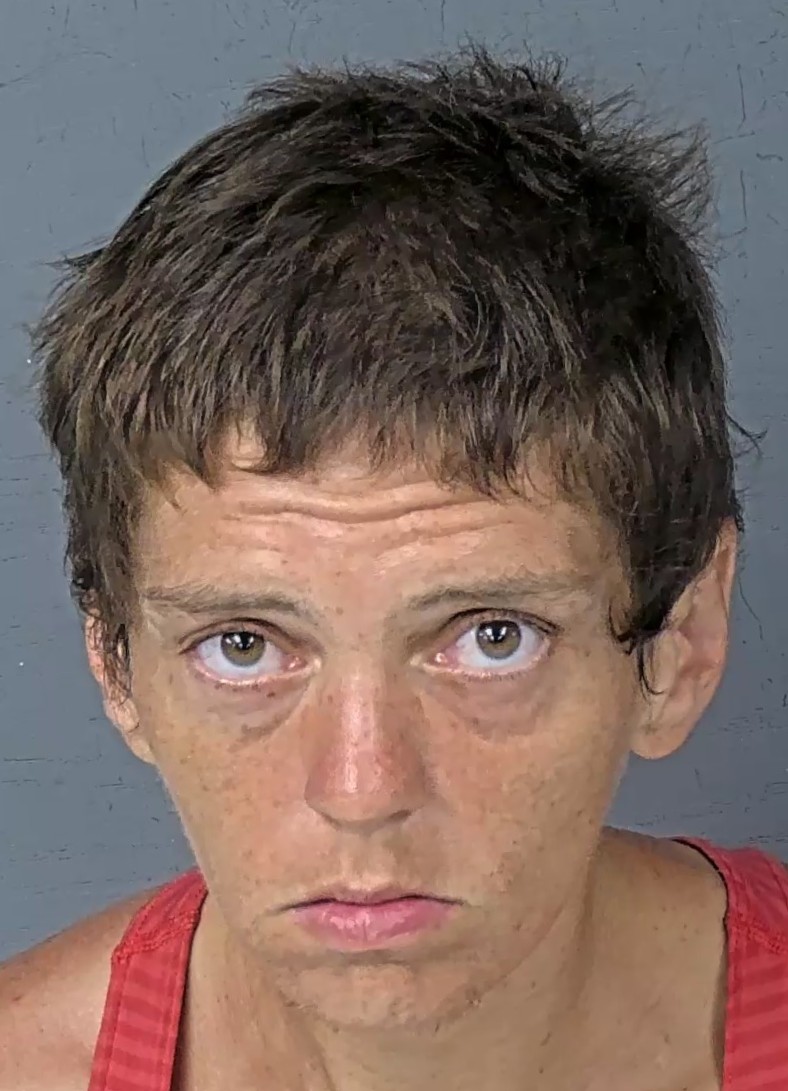 Booking photo of Alecia Ann Hilken