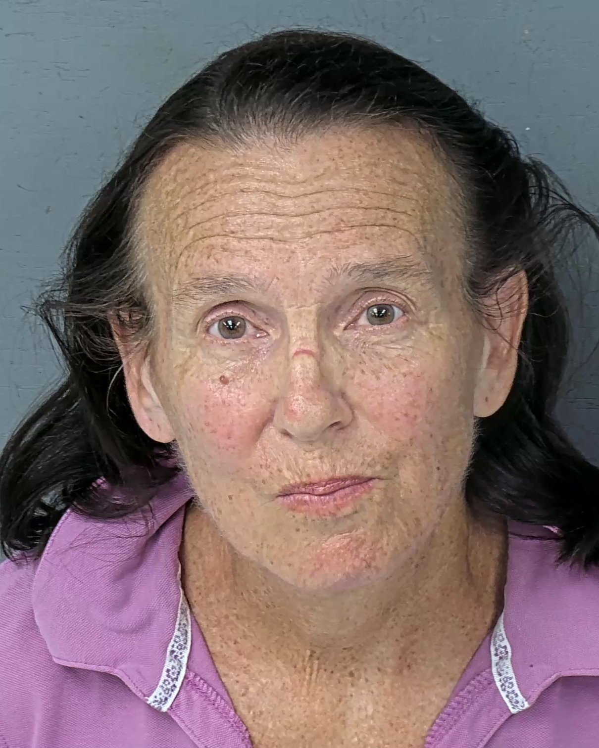 Booking photo of Mary Yankovitz Ortiz