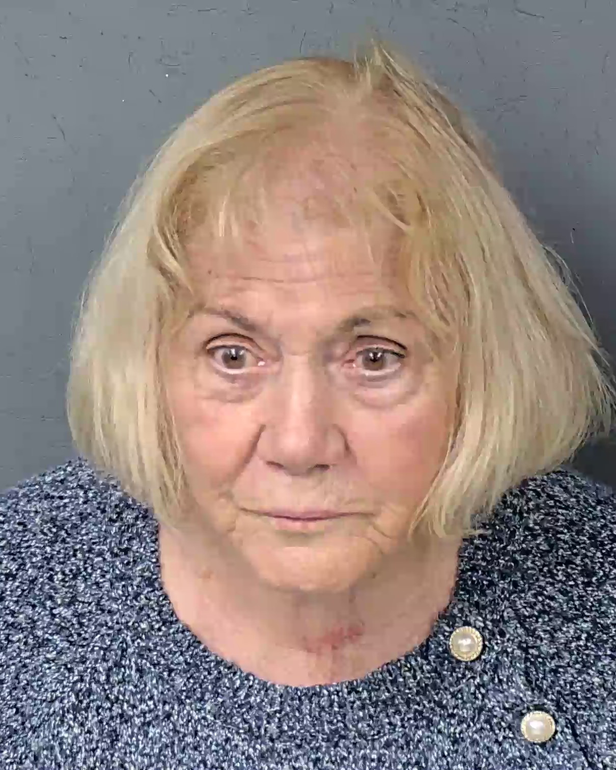 Booking photo of Barbara A Garafalo Sayres