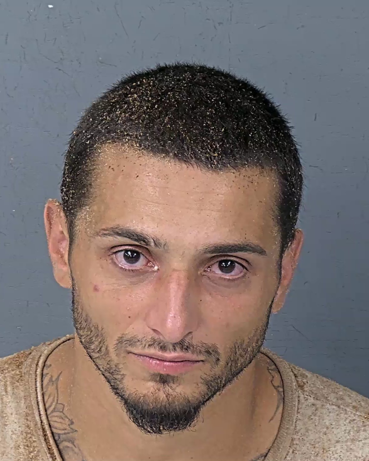 Booking photo of Tyler John Mcguirl