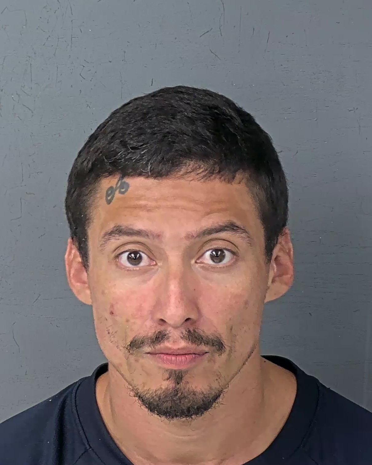 Booking photo of George Max Badillo