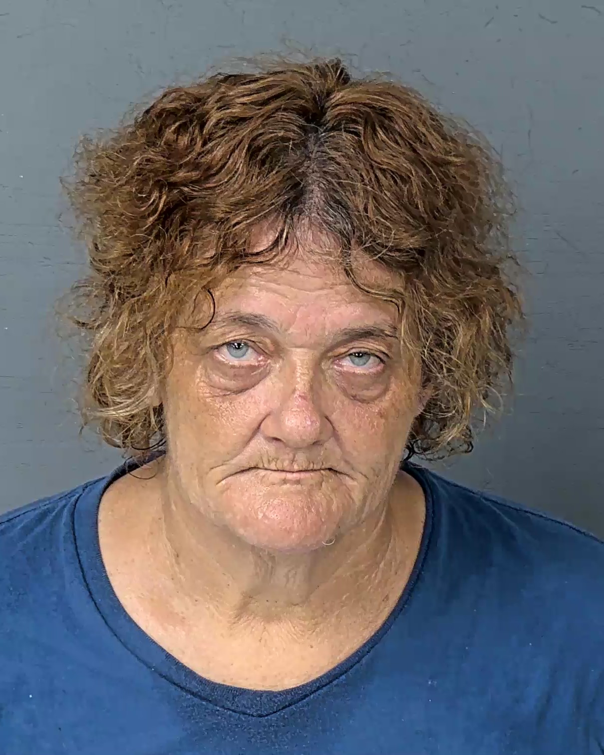 Booking photo of Tammy S Messick