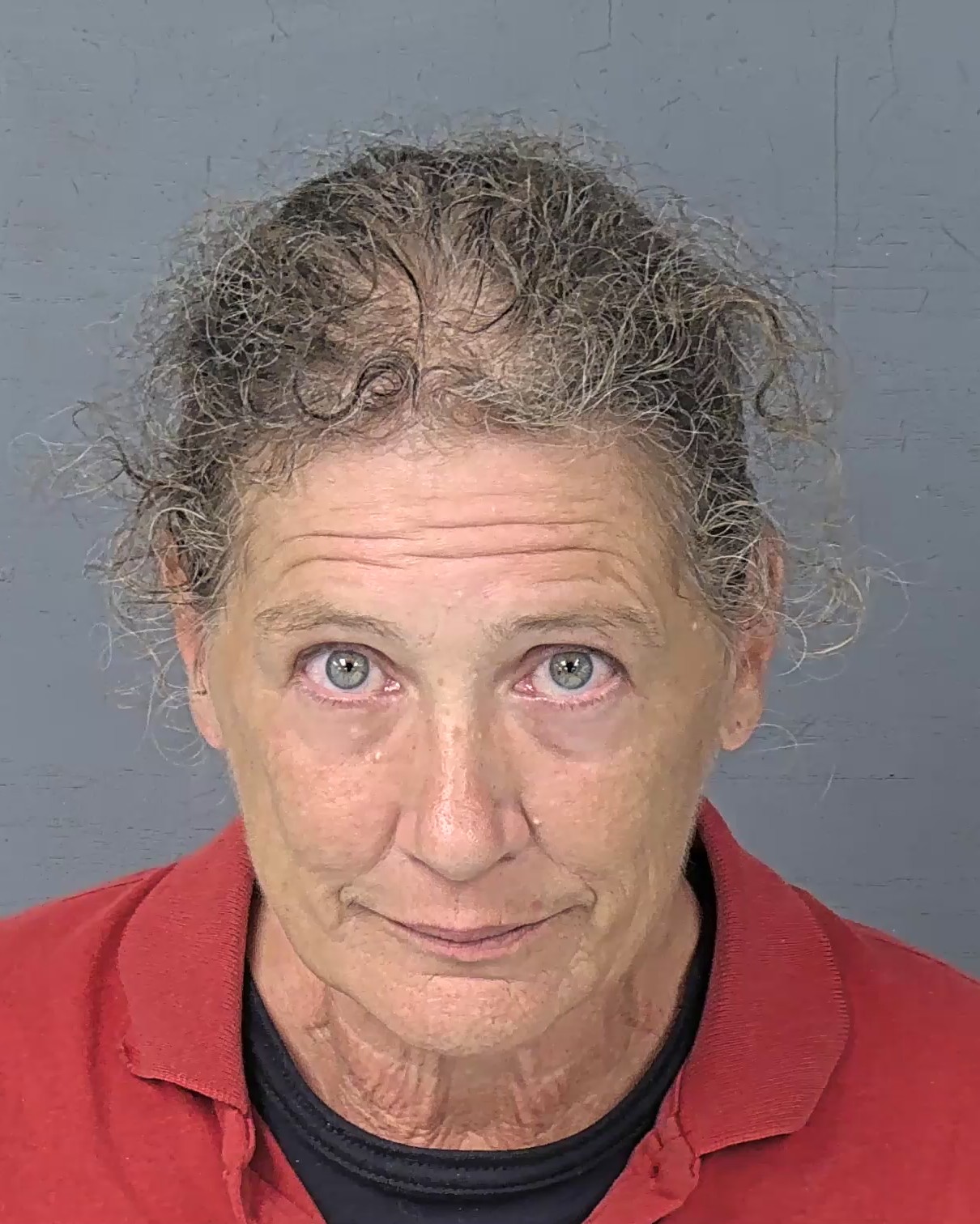 Booking photo of Holley Michele Solla