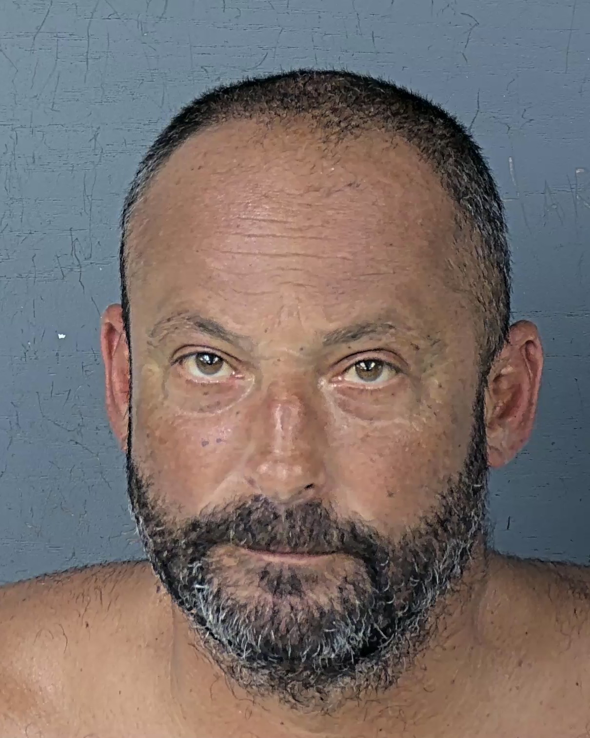 Booking photo of Evan Christopher Kalimanis