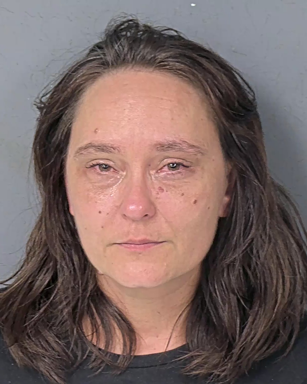 Booking photo of Roberta Lyn Perkins