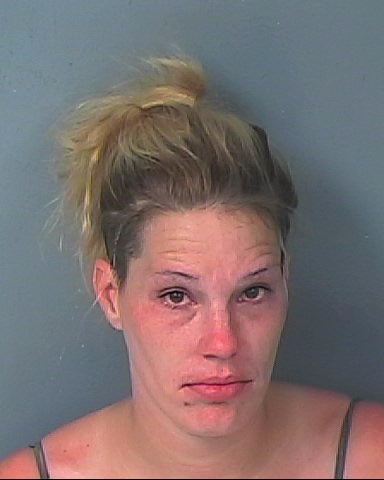 Booking photo of Amanda June Stemple