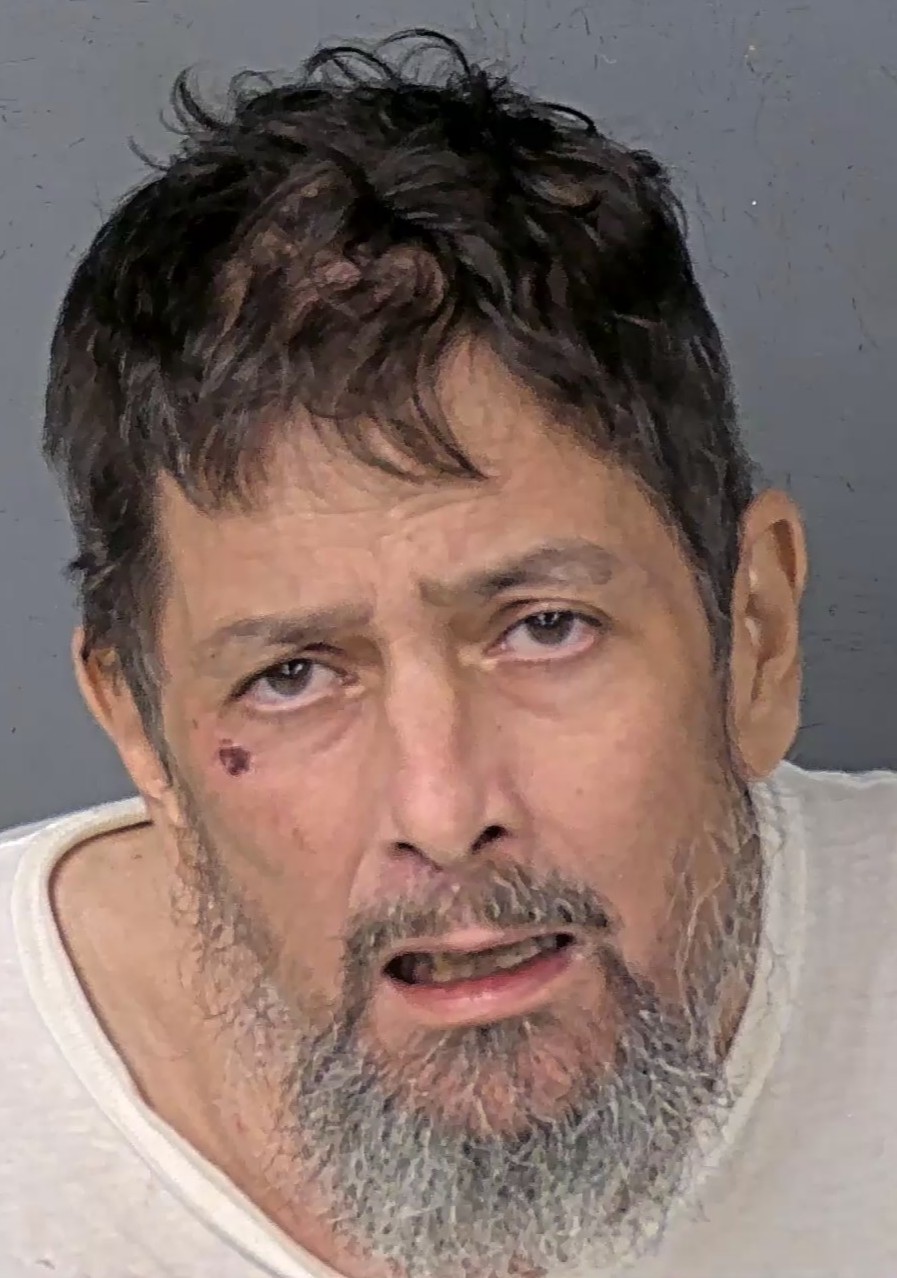 Booking photo of Anton Michael Fedder