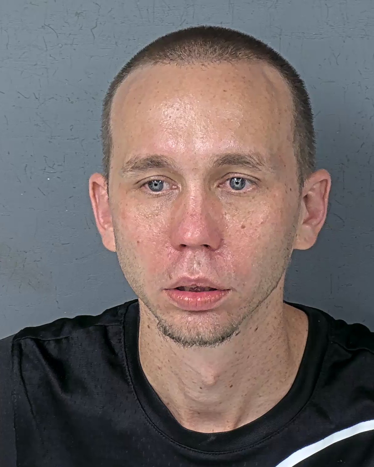 Booking photo of Louis Arthur Arendes
