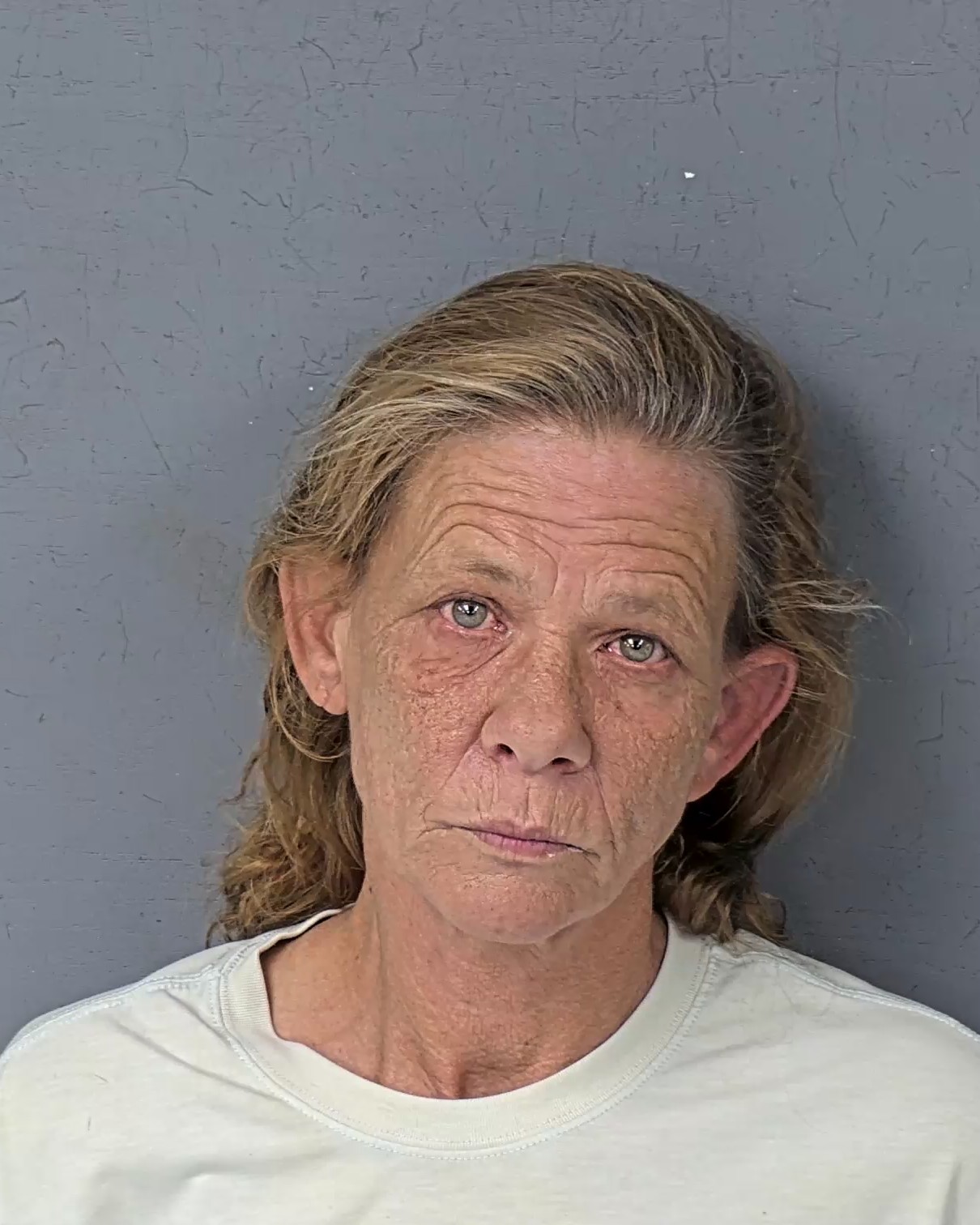 Booking photo of Lisa Barlene Forehand