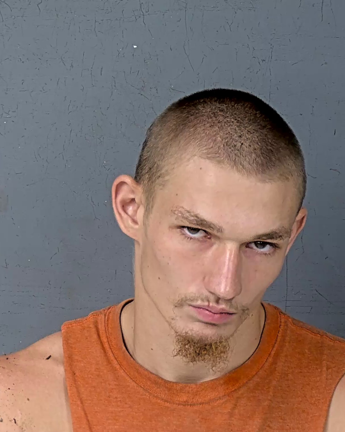 Booking photo of Virgle Eugene Wentworth