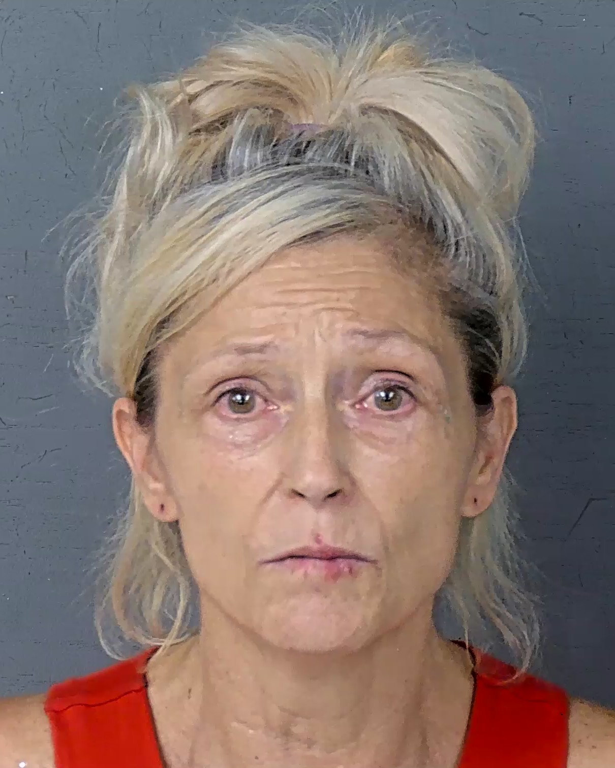 Booking photo of Lori Ann Allen
